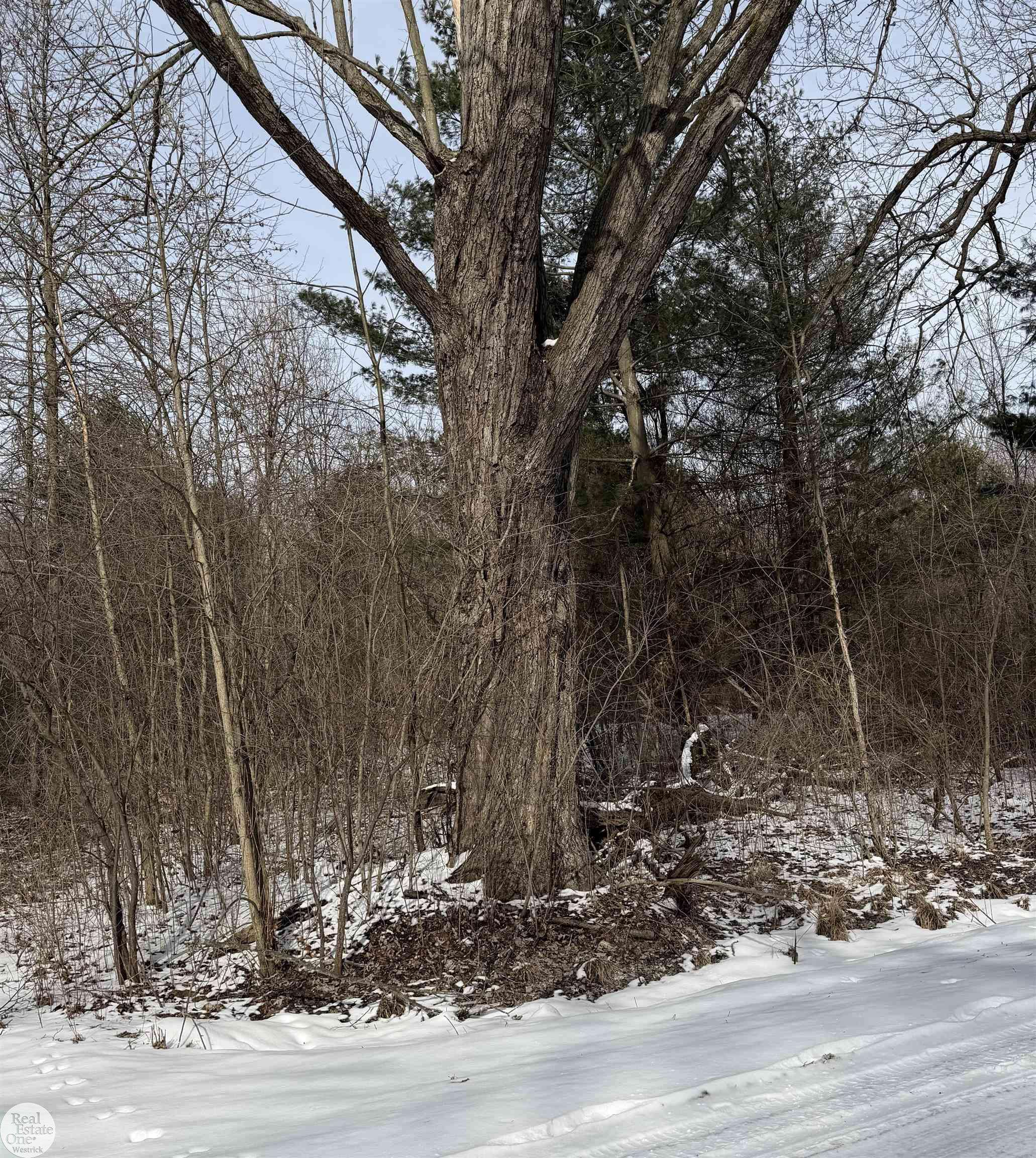 0 Genaw RD, Cottrellville Twp, MI 48039