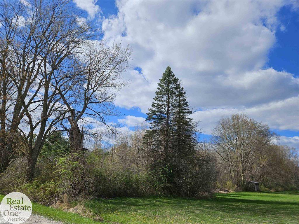 0 Genaw RD, Cottrellville Twp, MI 48039