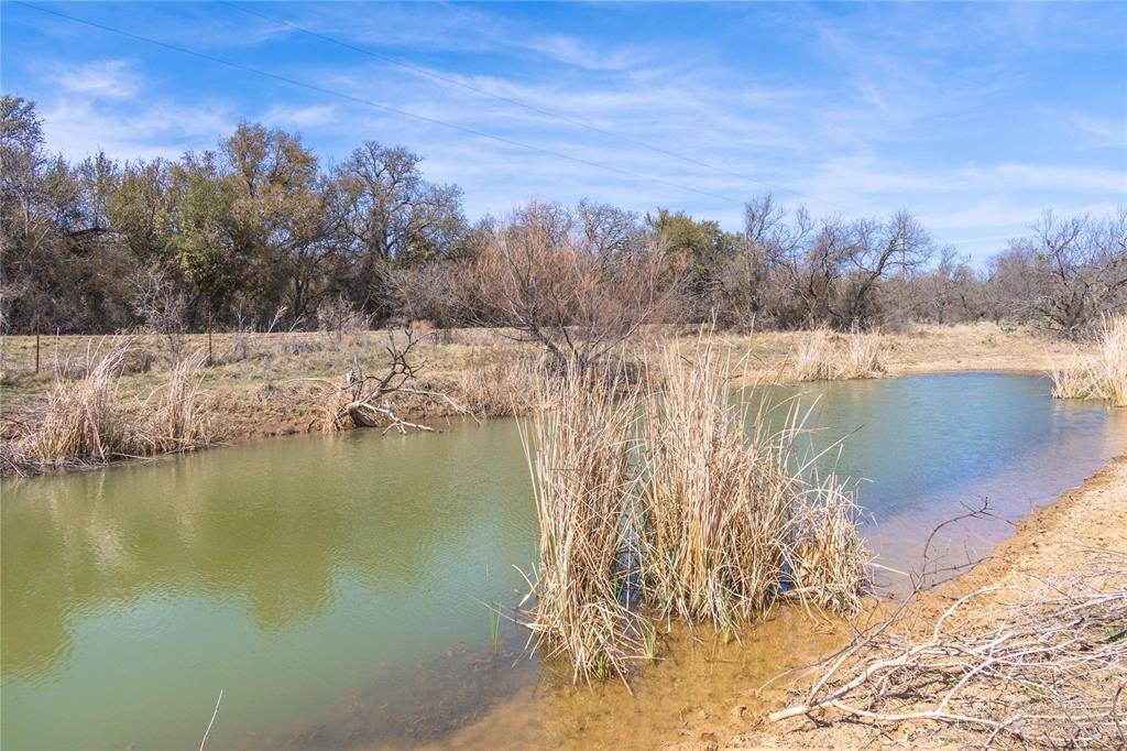 91 Acres Co Rd 370, Carbon, TX 76435