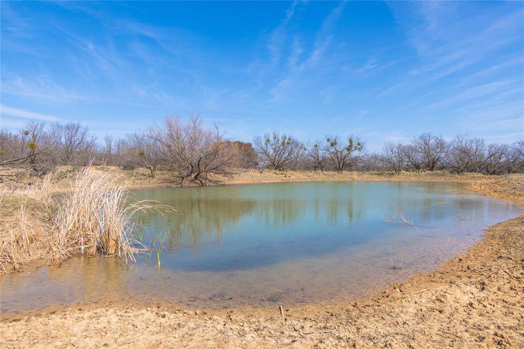 91 Acres Co Rd 370, Carbon, TX 76435