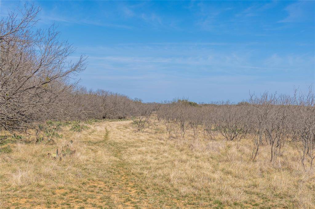 91 Acres Co Rd 370, Carbon, TX 76435