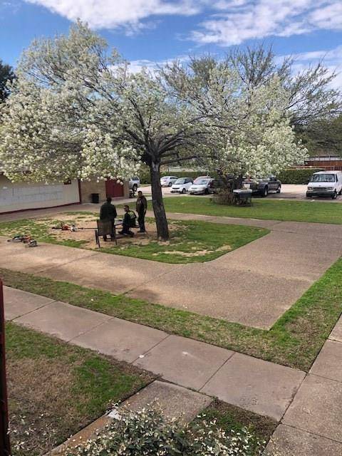 919 S Weatherred Drive #206, Richardson, TX 75080