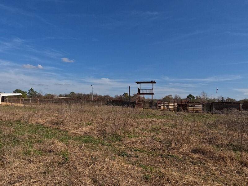 3131 Middlefield Road, Dallas, TX 75253