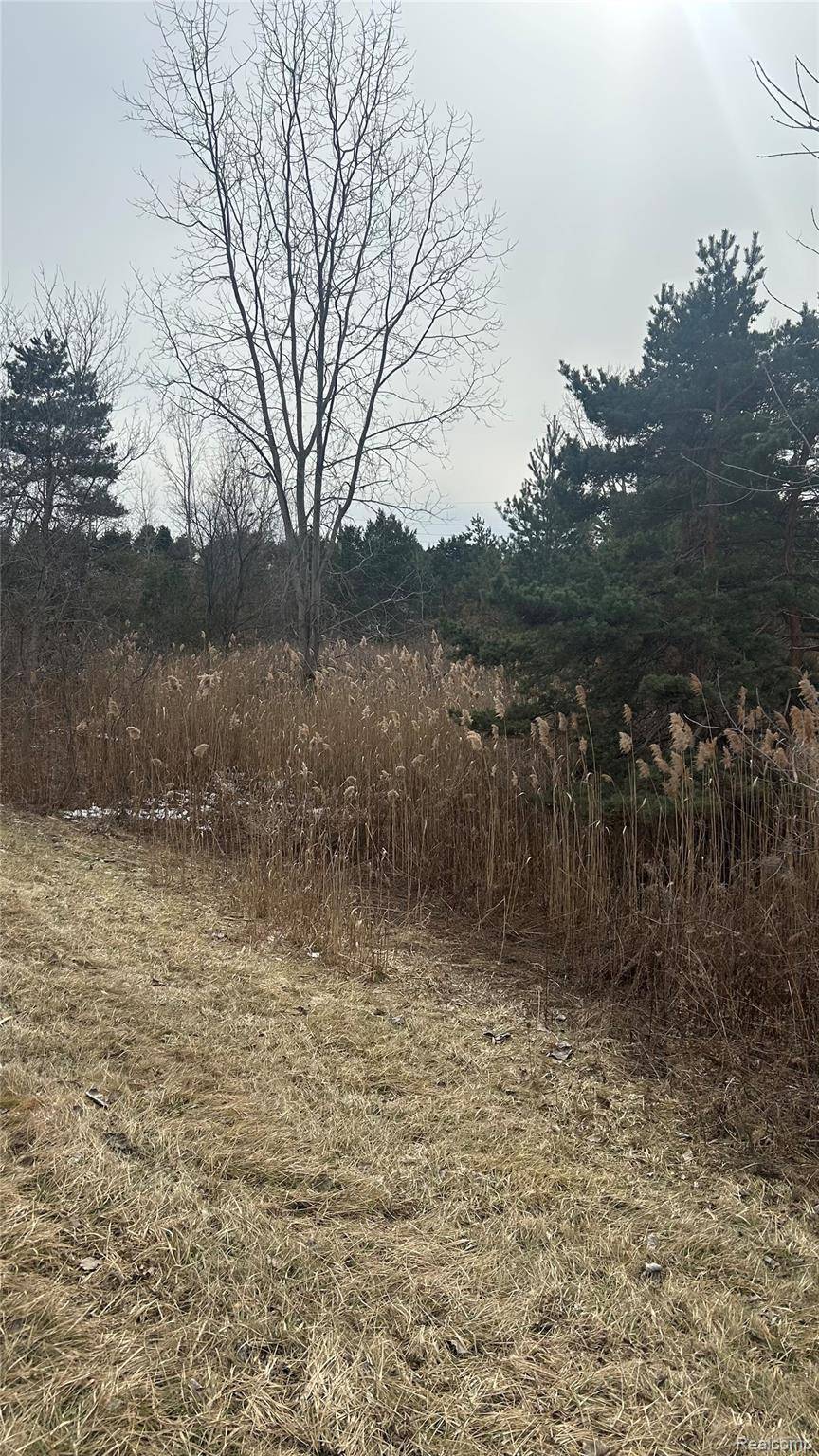 0 Ludwig, Oxford Charter Township, MI 48371