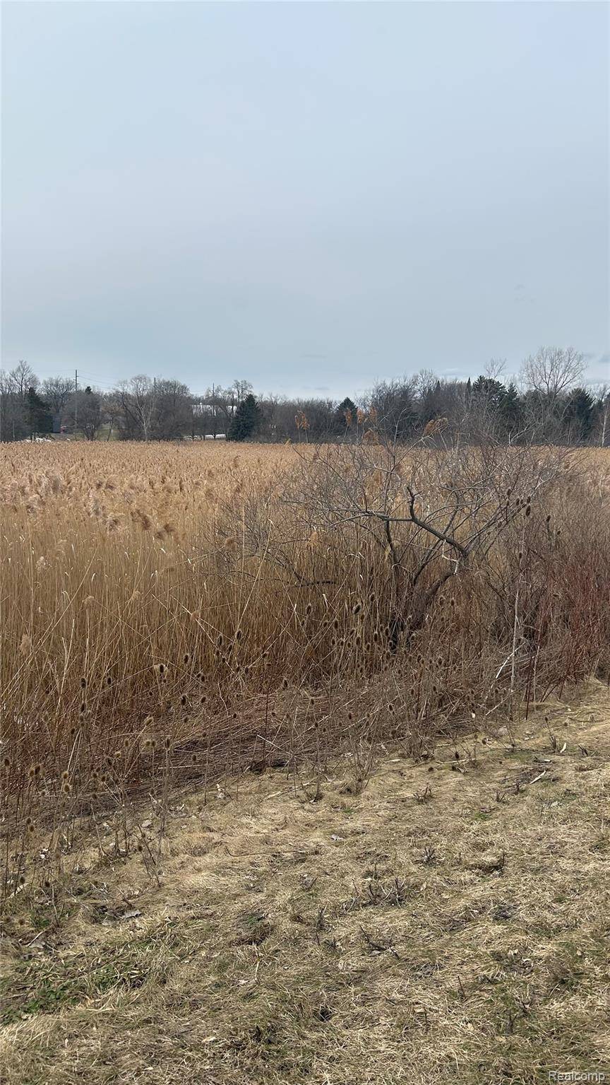 0 Ludwig, Oxford Charter Township, MI 48371