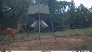 TBD US 380 Highway, Jacksboro, TX 76458