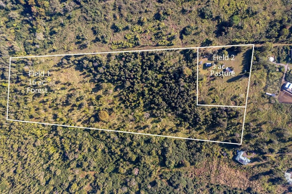 76-1285 WAIONO RANCH RD, Holualoa, HI 96725
