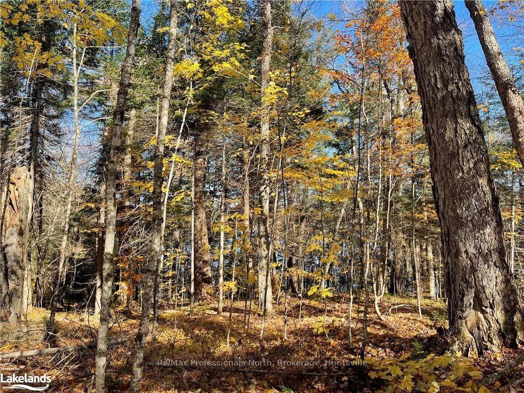 1440-6 WEST OXBOW LAKE RD, Lake Of Bays, ON P1H 2J6