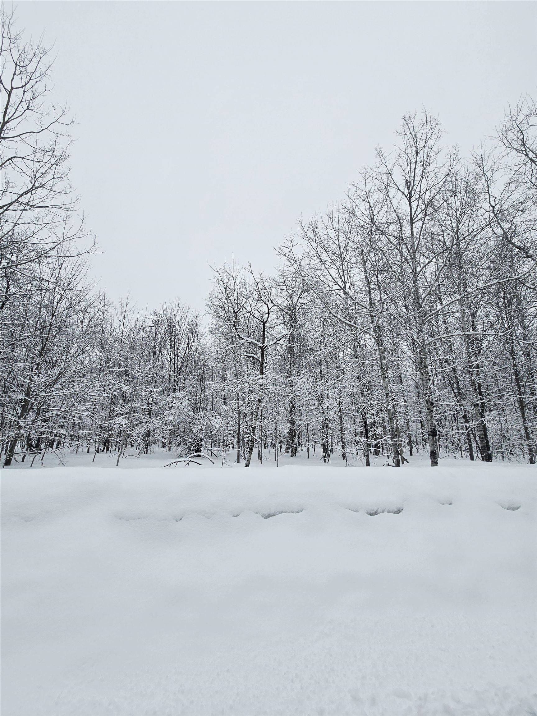 311 Parkridge DR, Mancelona Twp, MI 49659