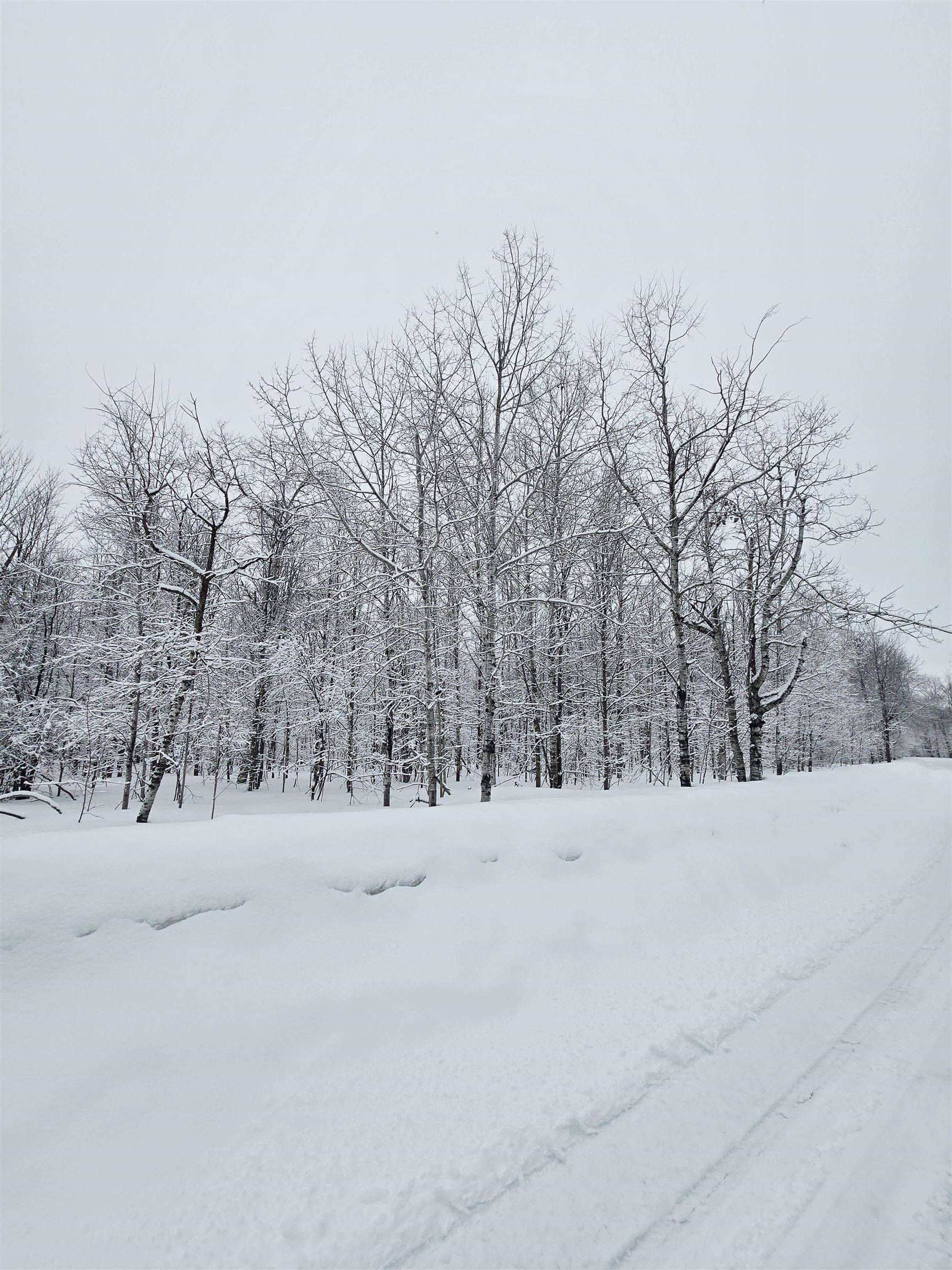 311 Parkridge DR, Mancelona Twp, MI 49659