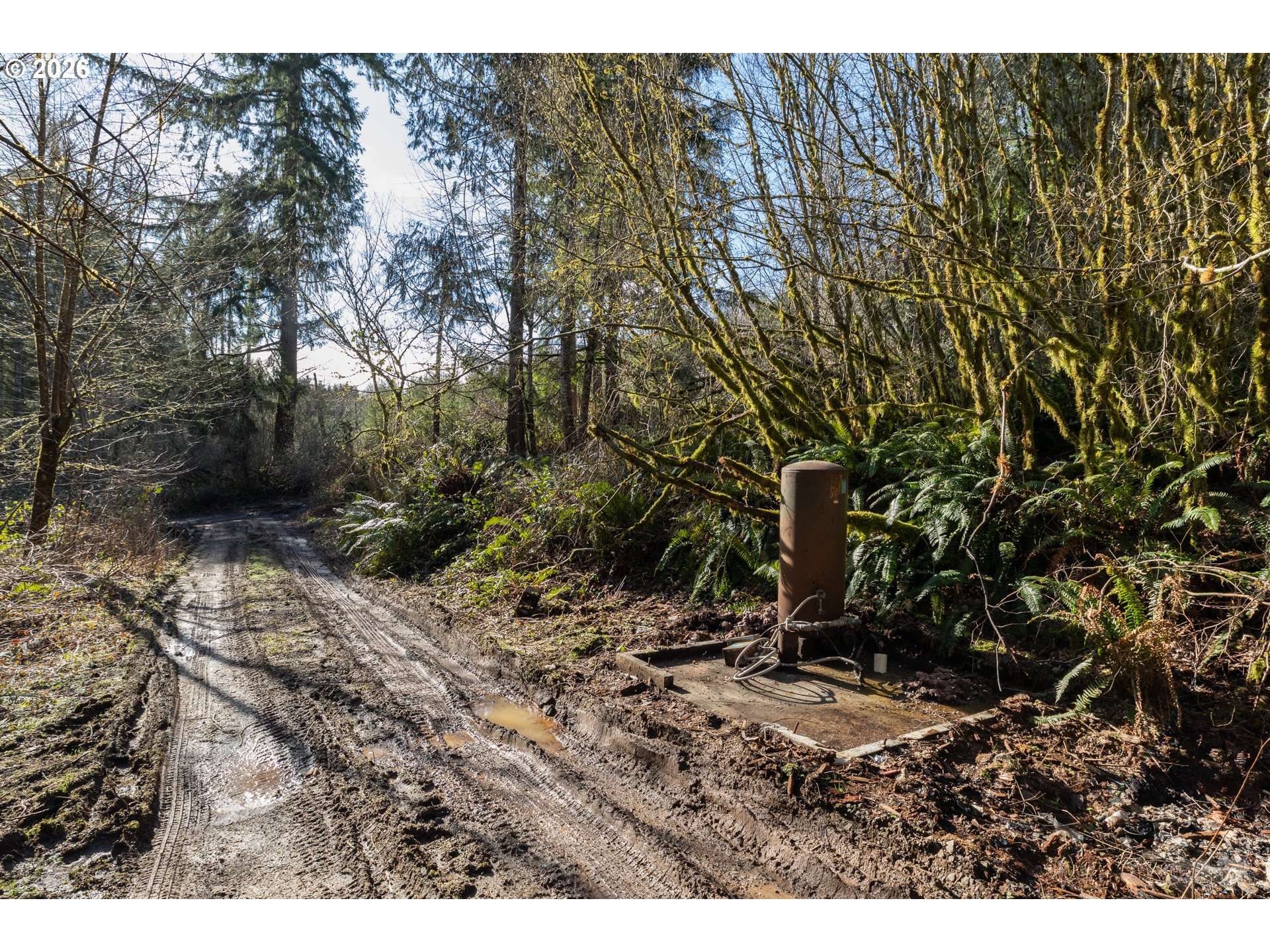 71909 APIARY RD, Rainier, OR 97048