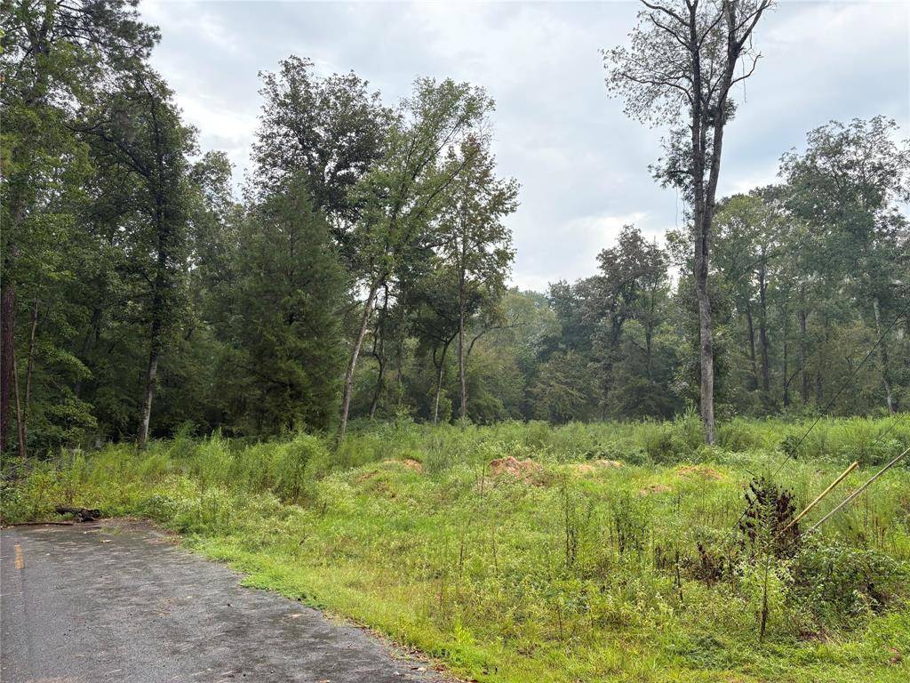0 Fox Skin Drive, Haughton, LA 71037