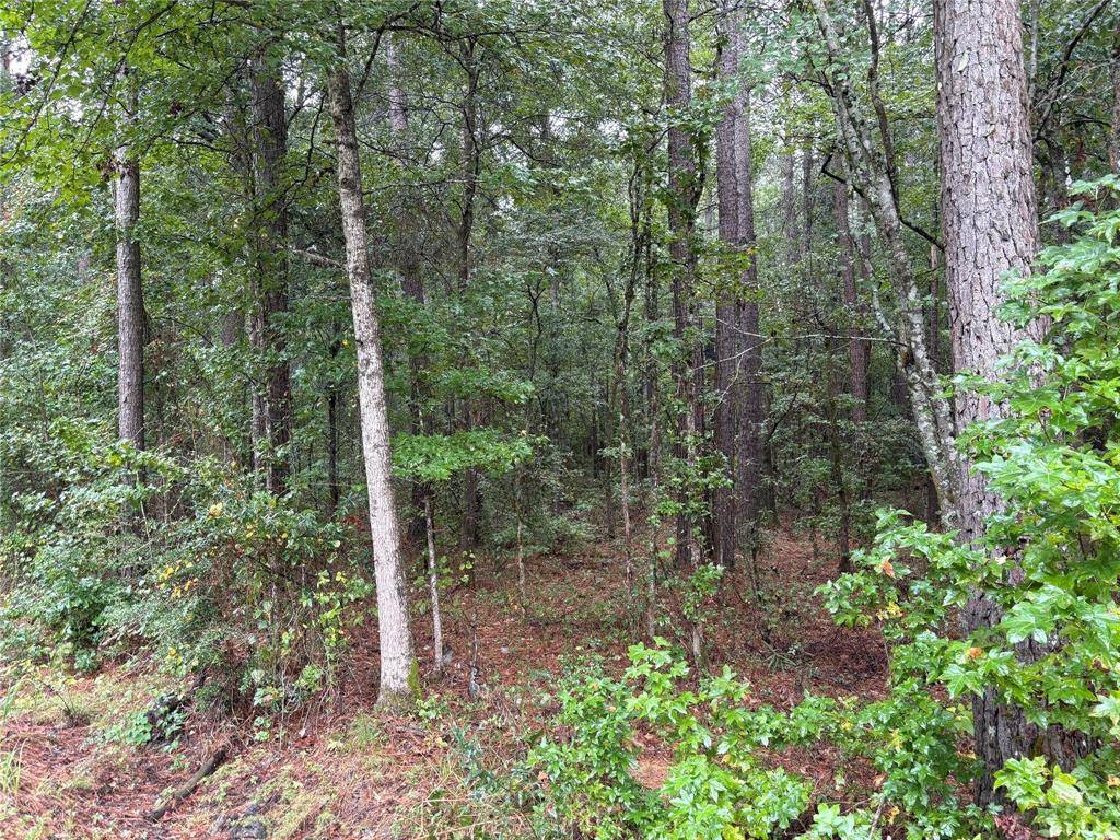 0 Fox Skin Drive, Haughton, LA 71037