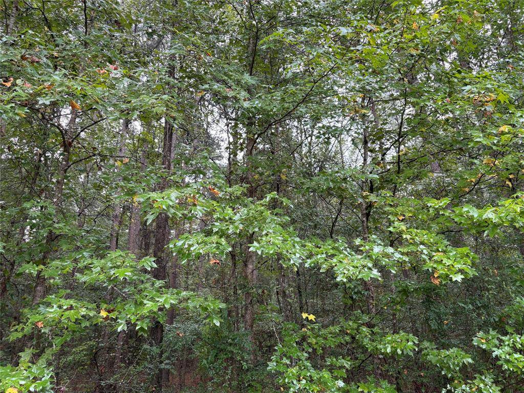 0 Fox Skin Drive, Haughton, LA 71037