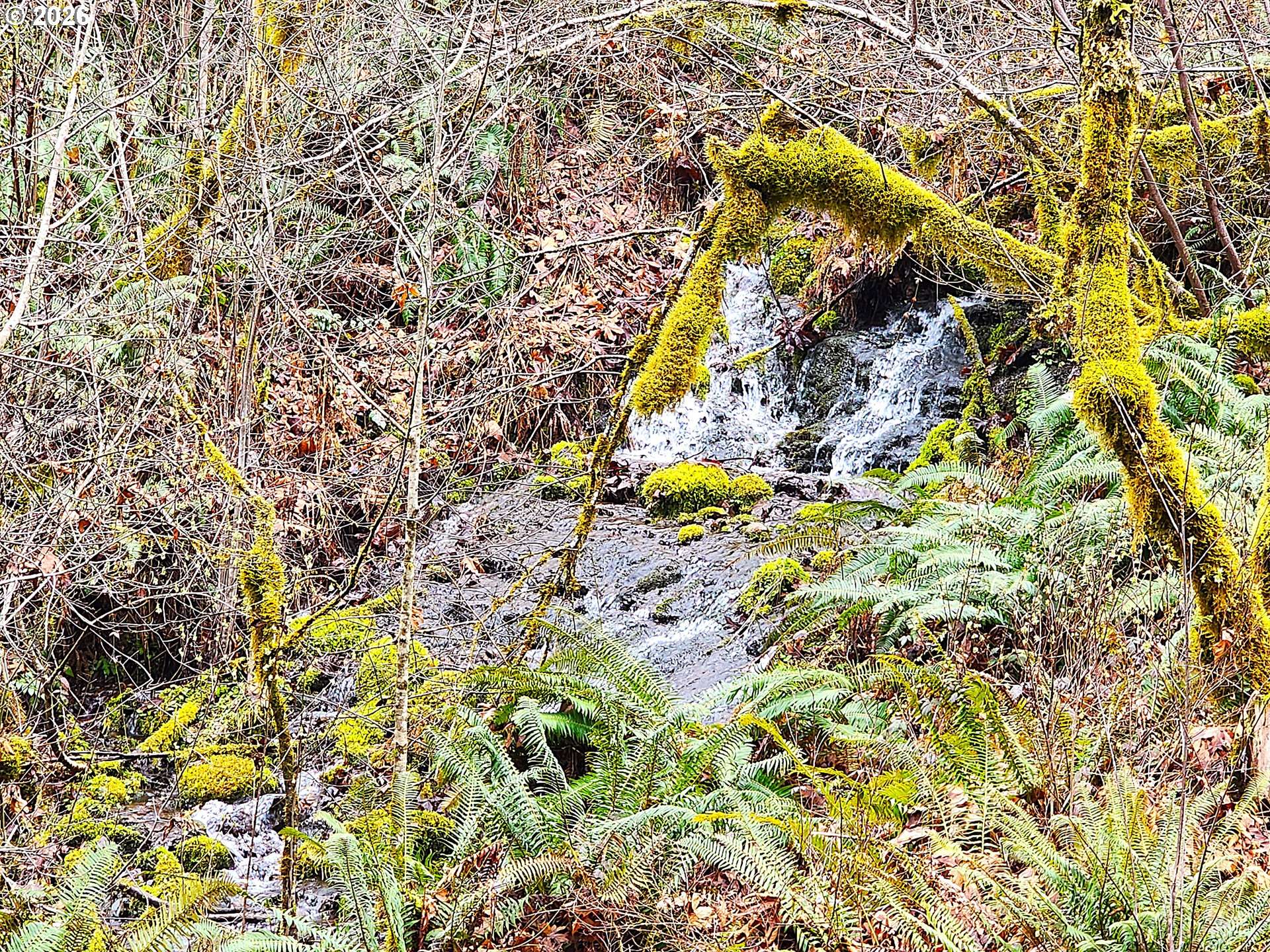 E King RD, Mc Kenzie Bridge, OR 97413