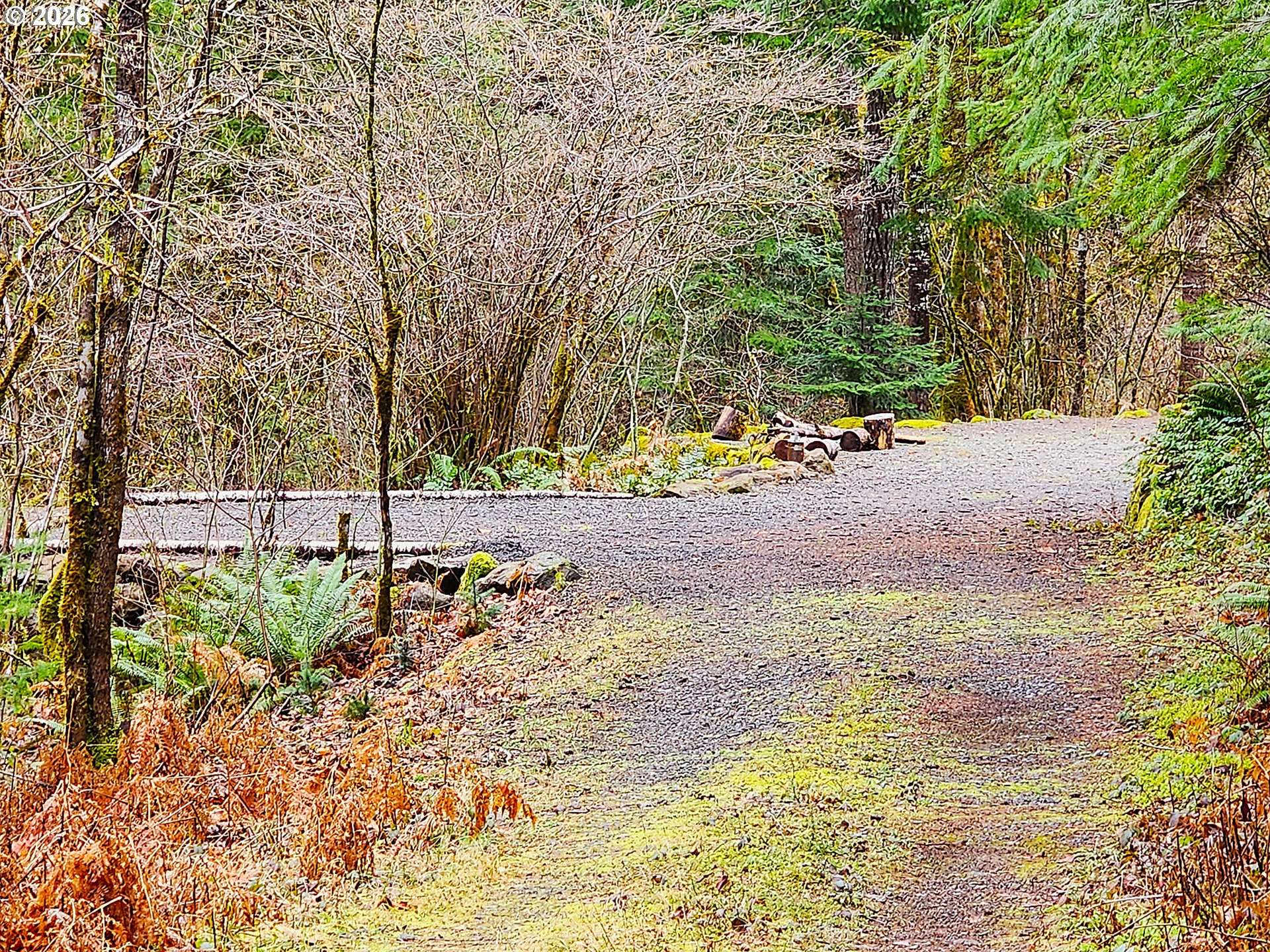 E King RD, Mc Kenzie Bridge, OR 97413