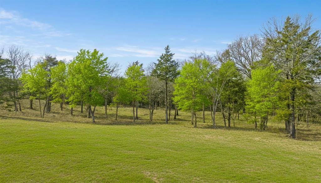 1602 Farm Road 1510, Brookston, TX 75421