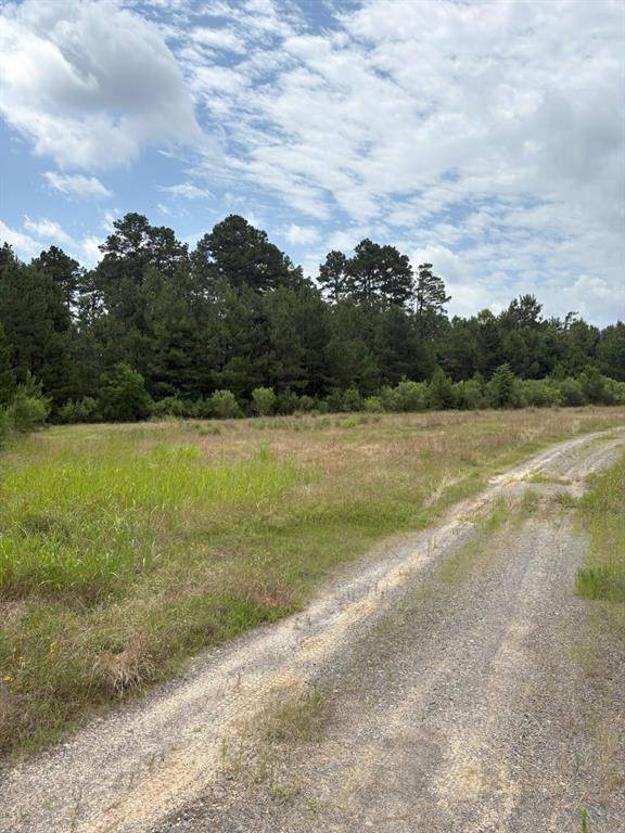 TBD County Road 425, Tenaha, TX 75974