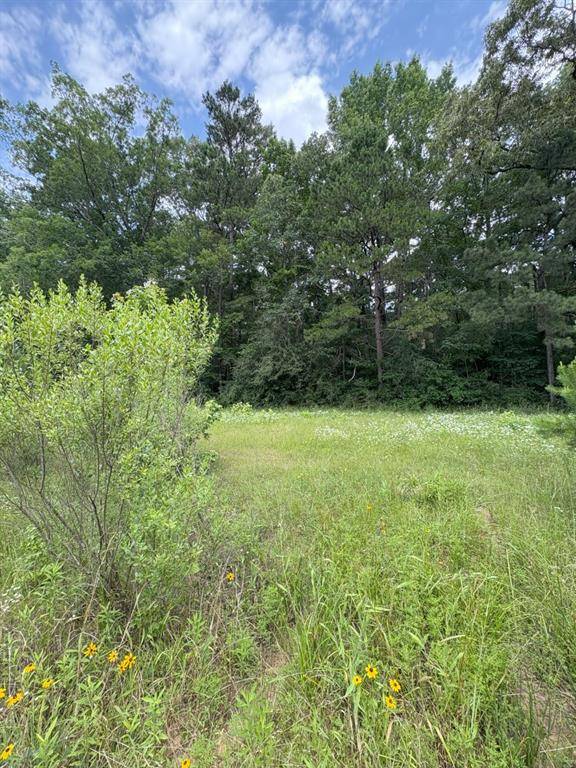 TBD County Road 425, Tenaha, TX 75974