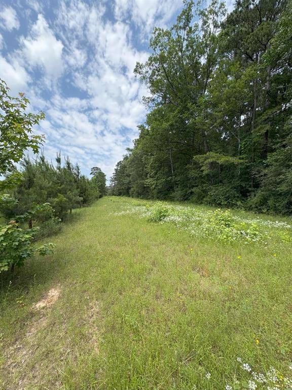 TBD County Road 425, Tenaha, TX 75974