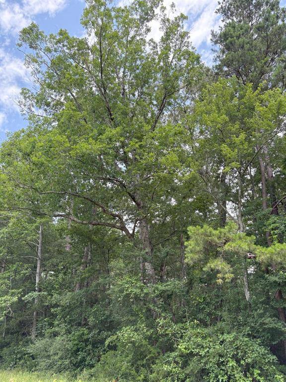 TBD County Road 425, Tenaha, TX 75974