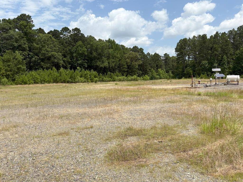 TBD County Road 425, Tenaha, TX 75974