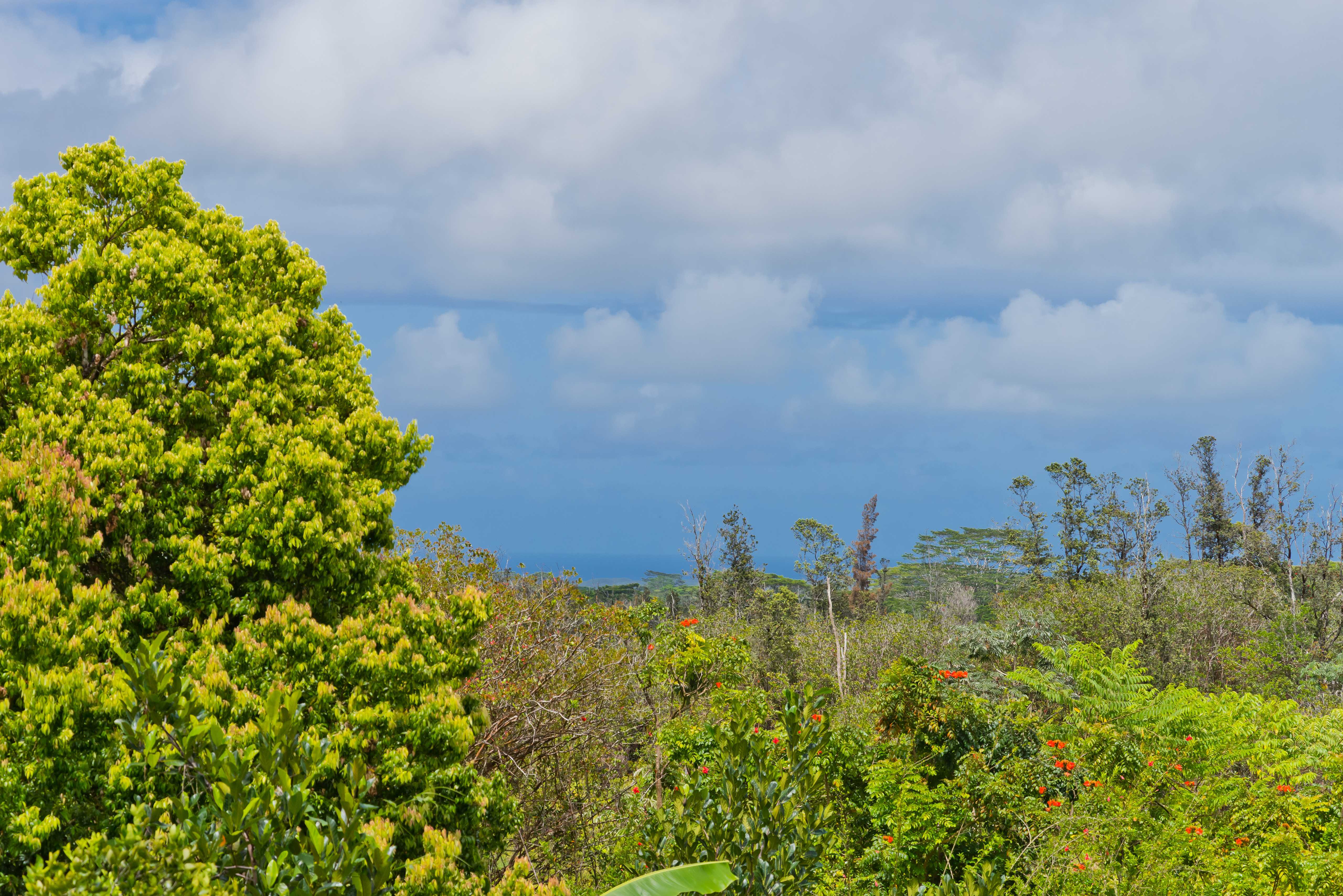 16-1331 OPEAPEA RD, Mountain View, HI 96760