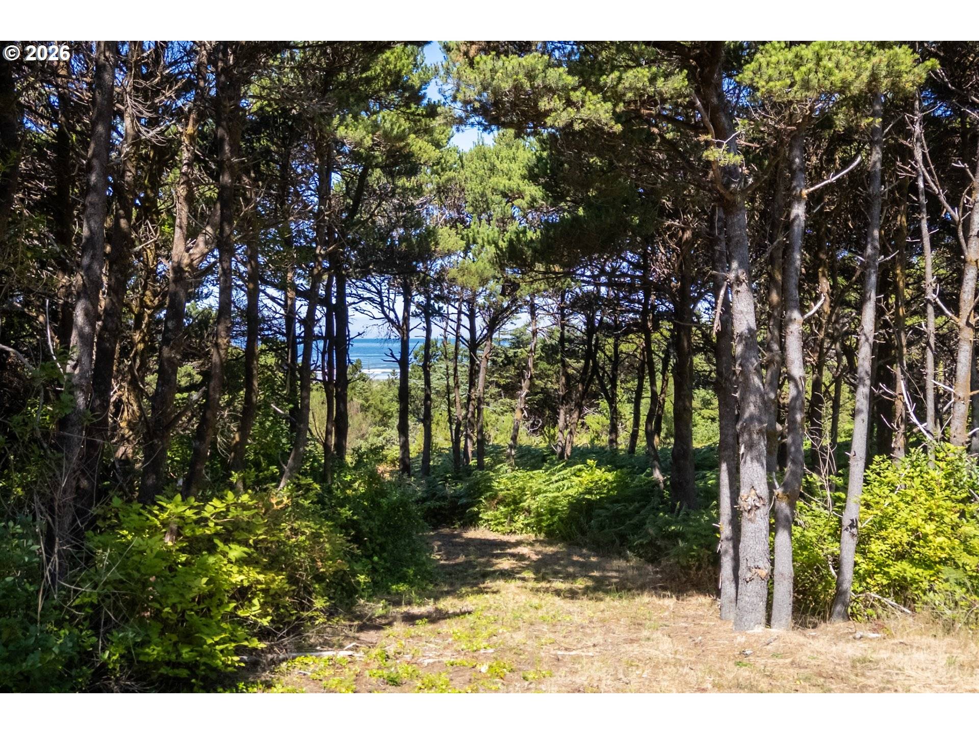 600 SW Pacific Coast Hwy, Waldport, OR 97394