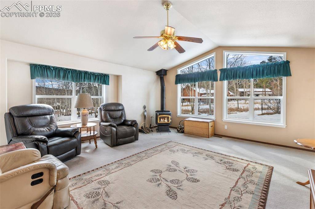 1100 S Park ST, Woodland Park, CO 80863
