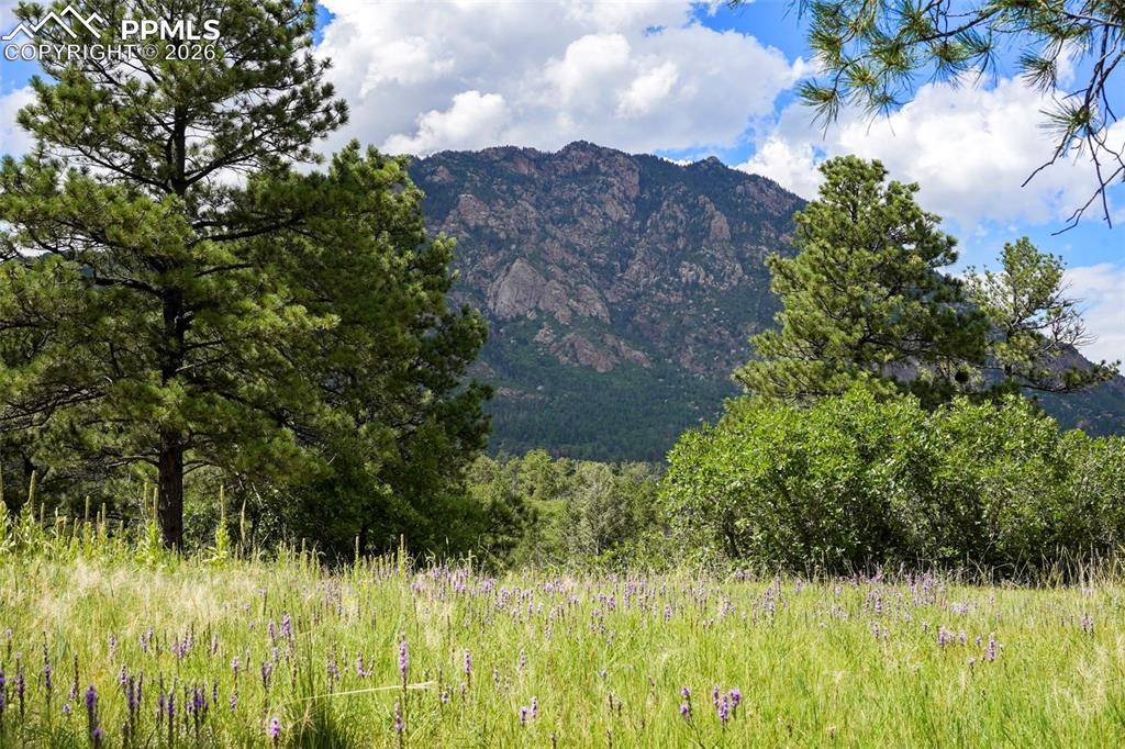 325 Pine Oaks RD, Colorado Springs, CO 80926