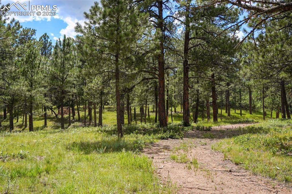 325 Pine Oaks RD, Colorado Springs, CO 80926