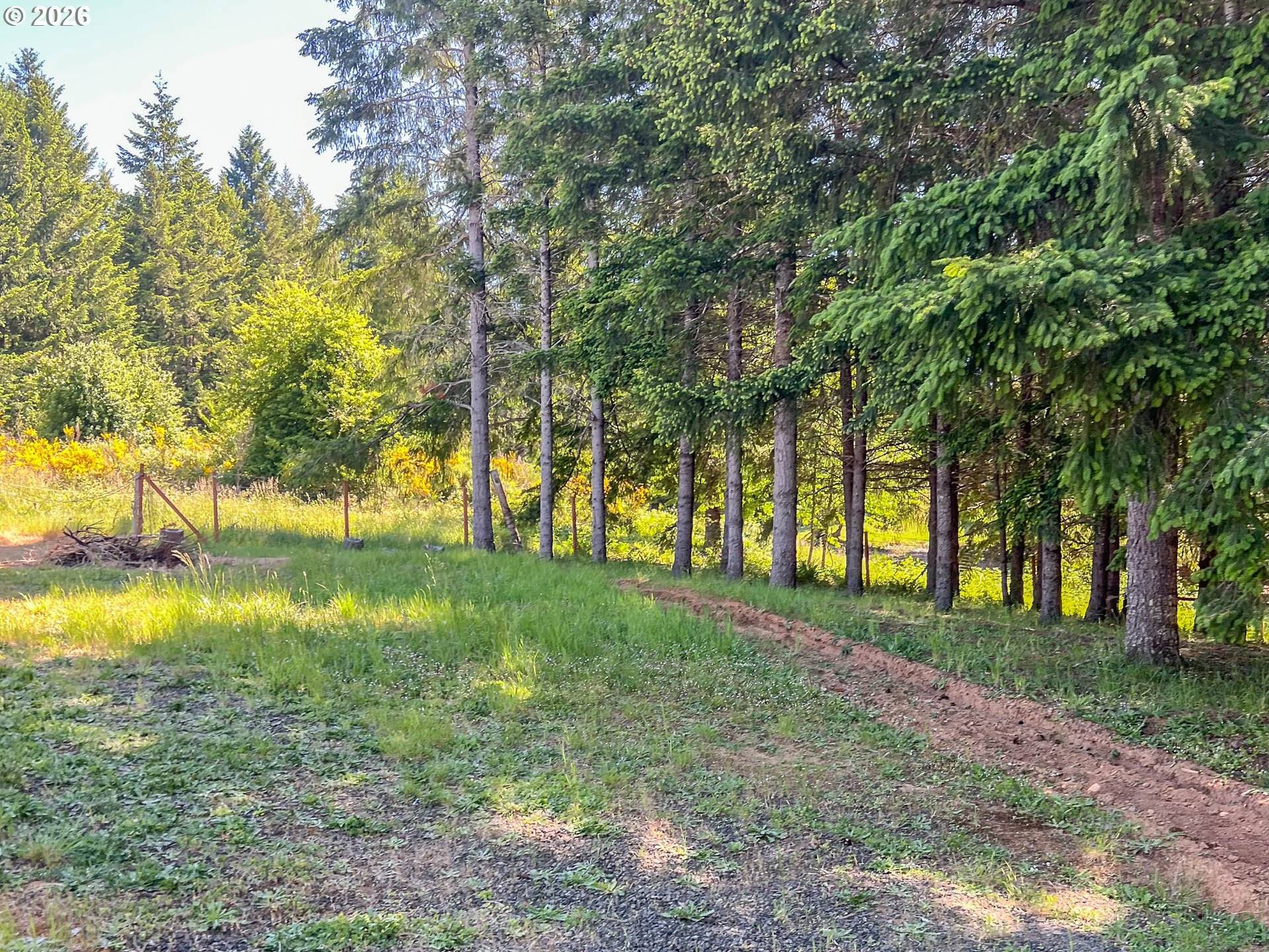 863 C ST, Elkton, OR 97436