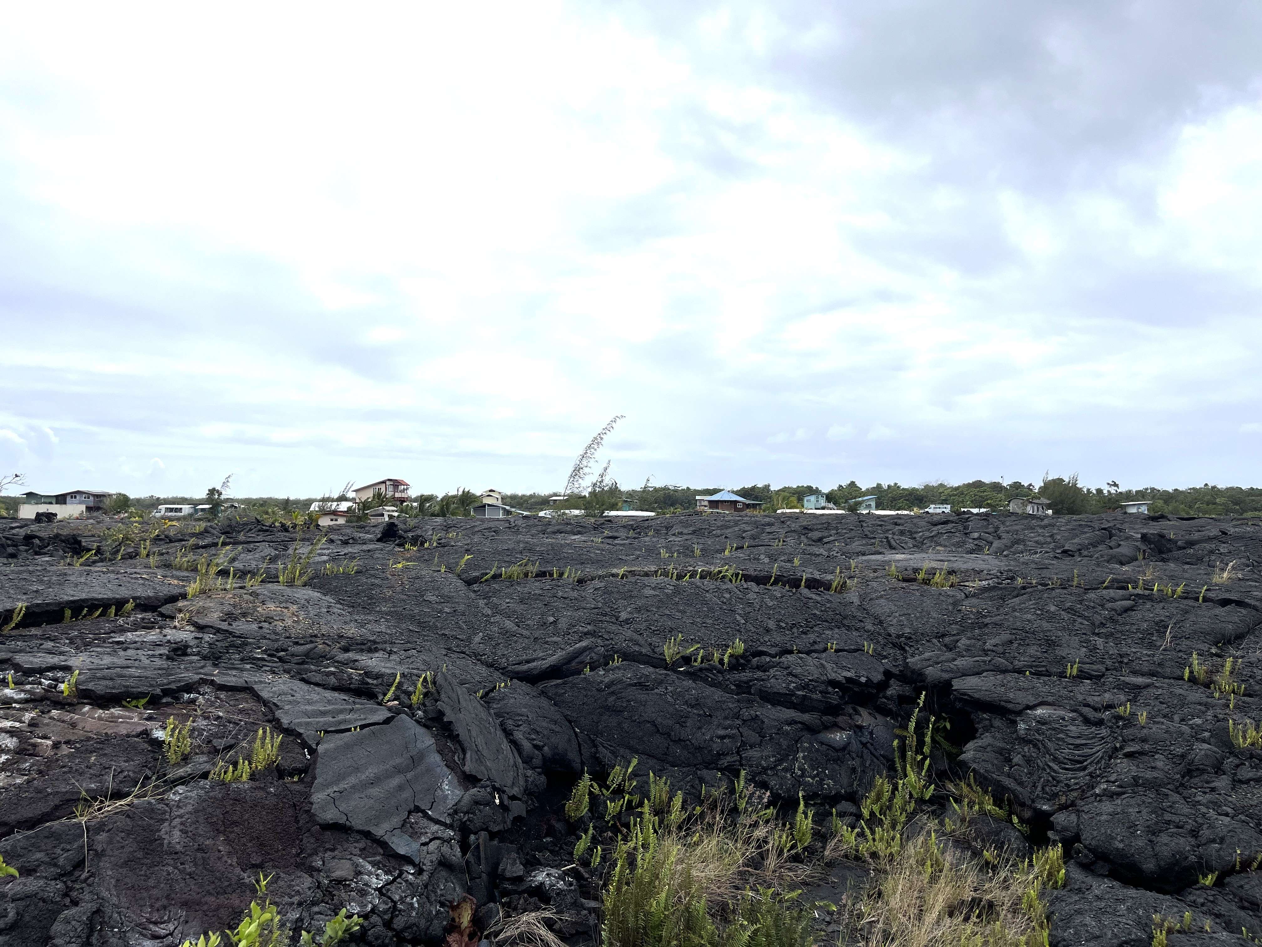 ALA KULIA, Pahoa, HI 96778