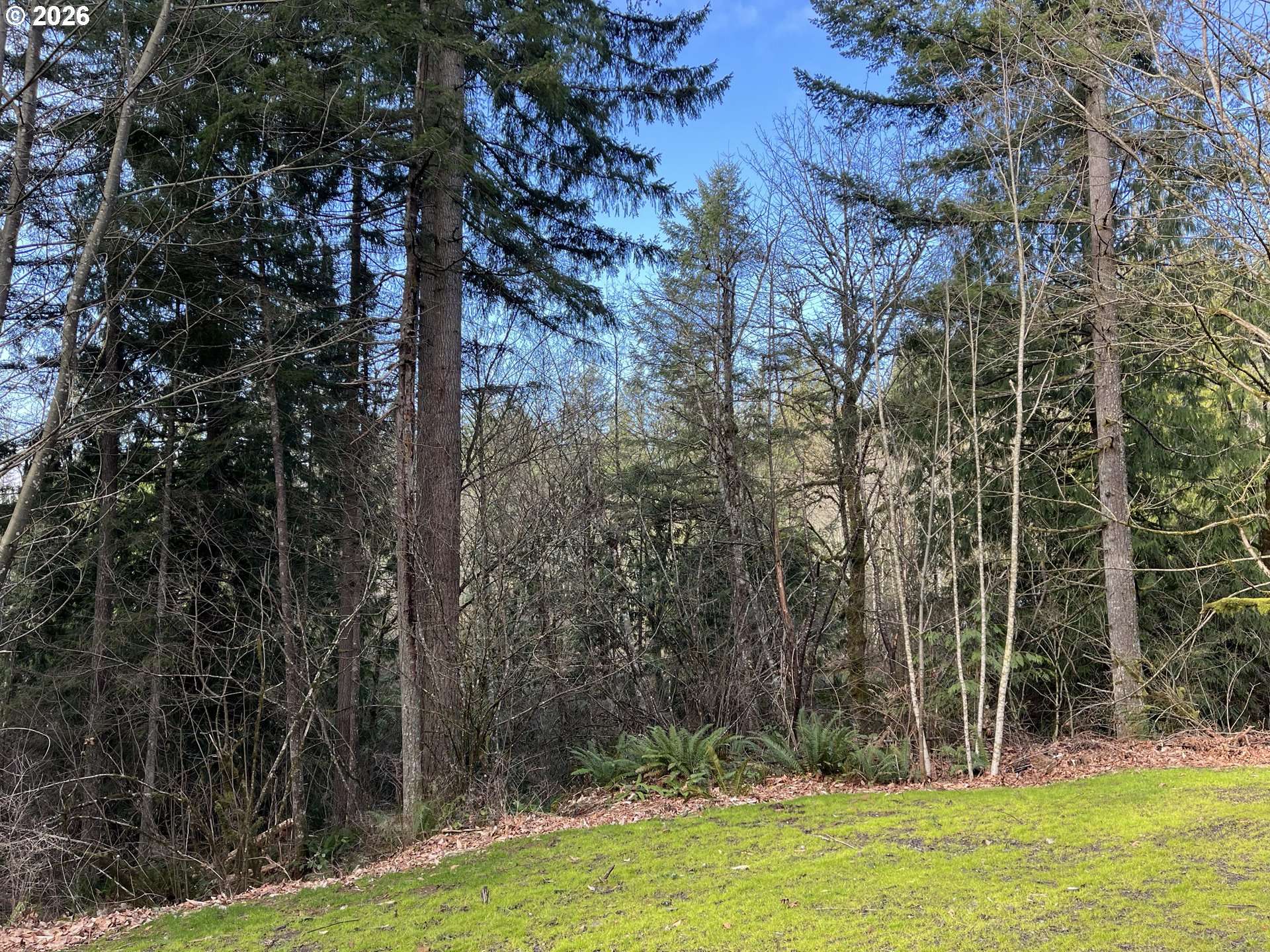 000 NE SCHAUER DR, Battle Ground, WA 98604