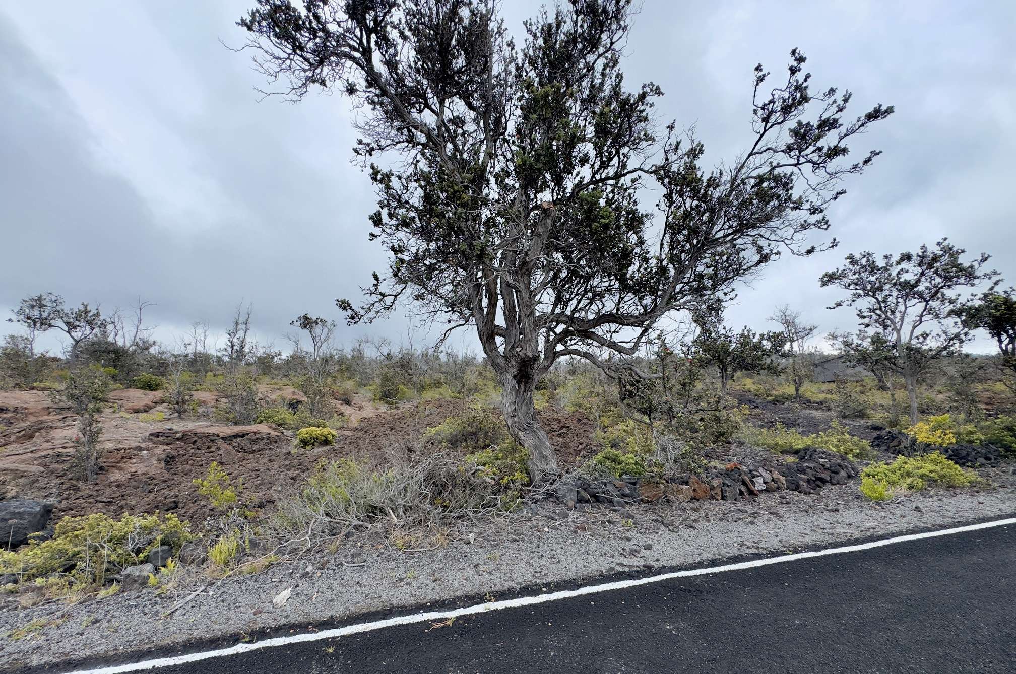 LEI PKWY, Ocean View, HI 96737