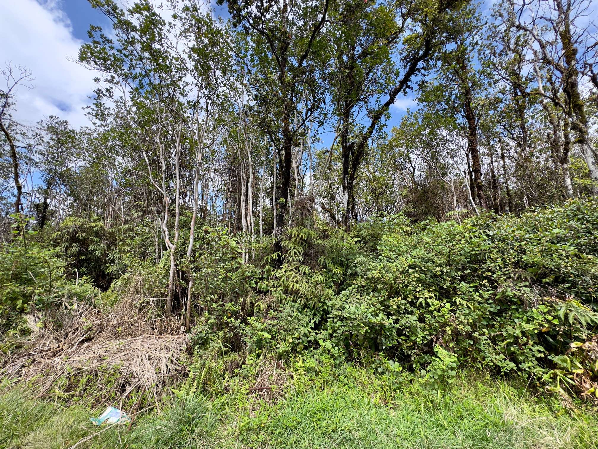 KOPAA ST, Mountain View, HI 96771