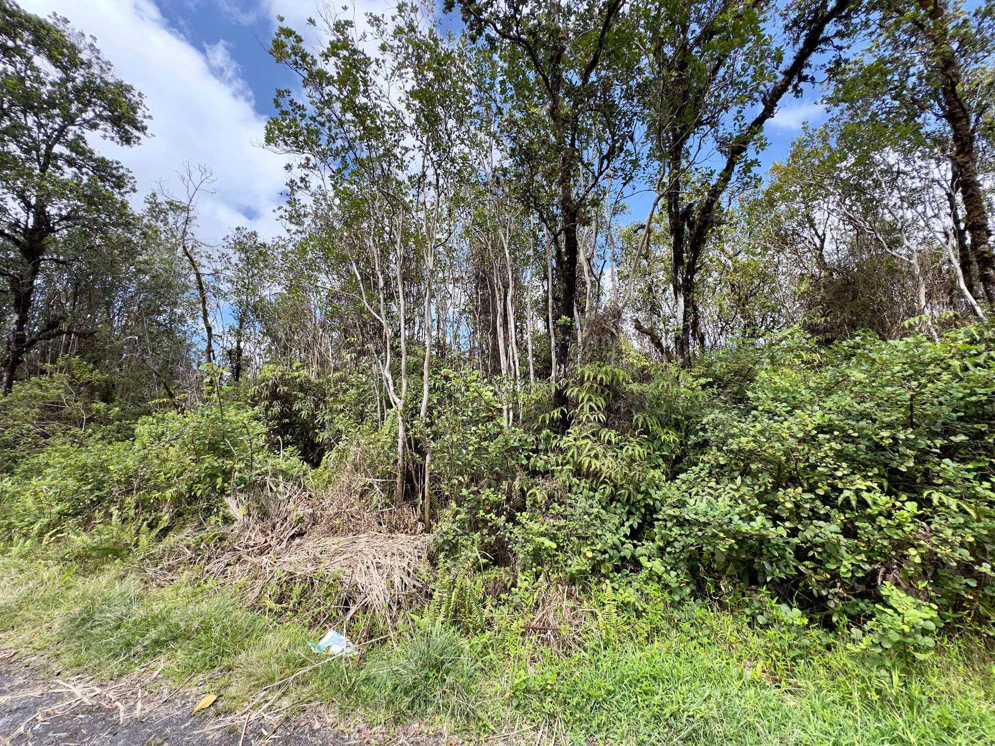 KOPAA ST, Mountain View, HI 96771