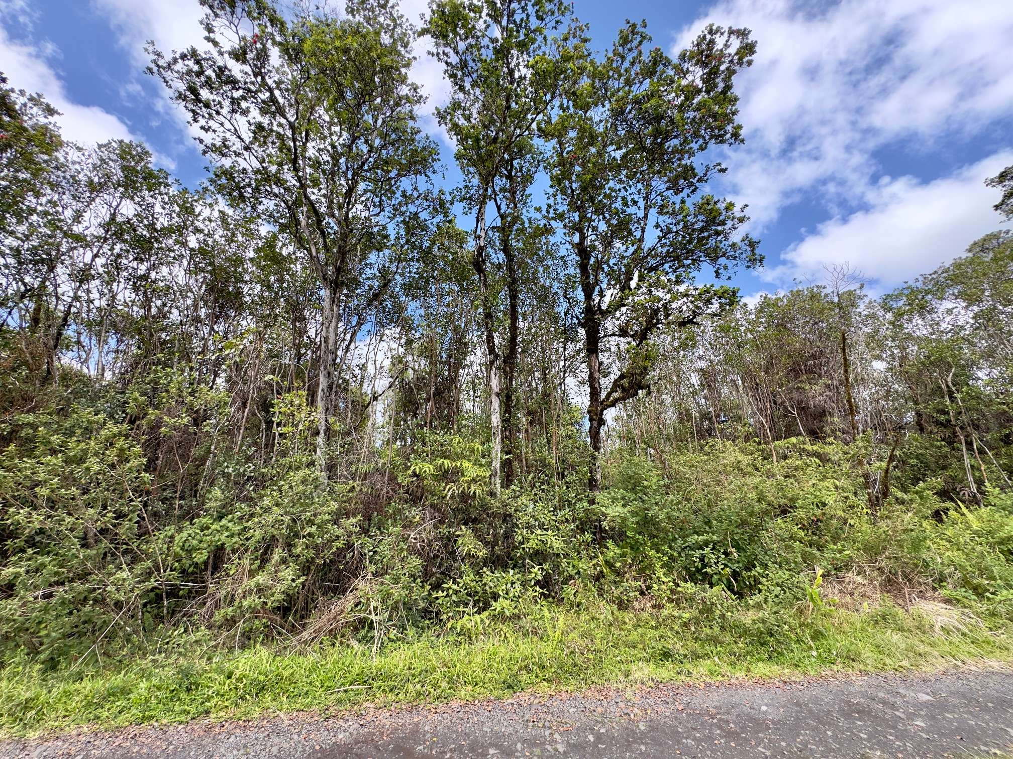 KOPAA ST, Mountain View, HI 96771