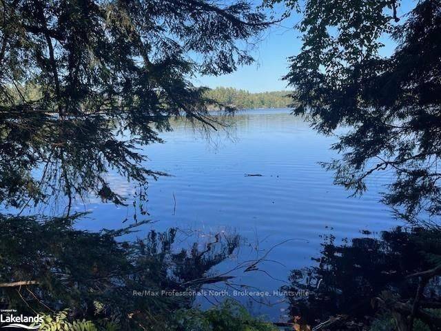 4 STONE GATE LN, Bracebridge, ON P1L 1X3