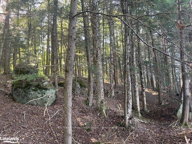 4 STONE GATE LN, Bracebridge, ON P1L 1X3