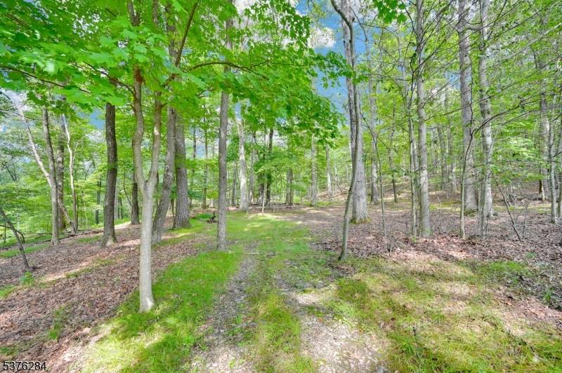 51 Paulinskill Lake Rd, Fredon Twp., NJ 07860