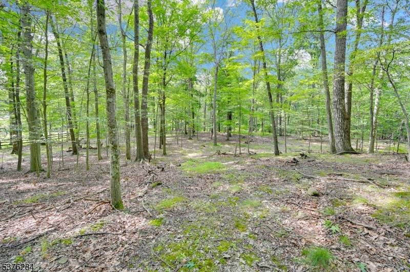 51 Paulinskill Lake Rd, Fredon Twp., NJ 07860