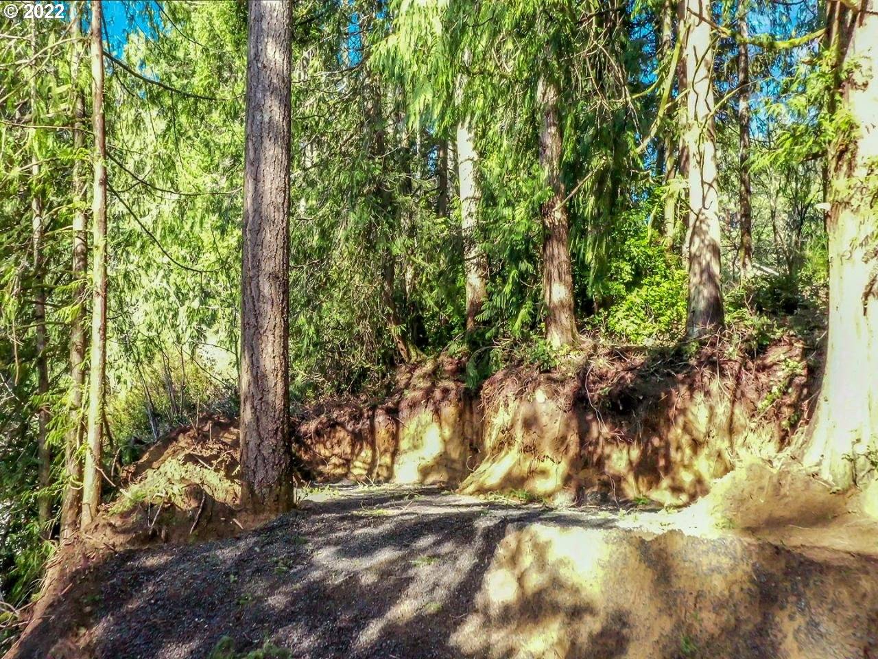 LEVAGE DR #05600, Florence, OR 97439