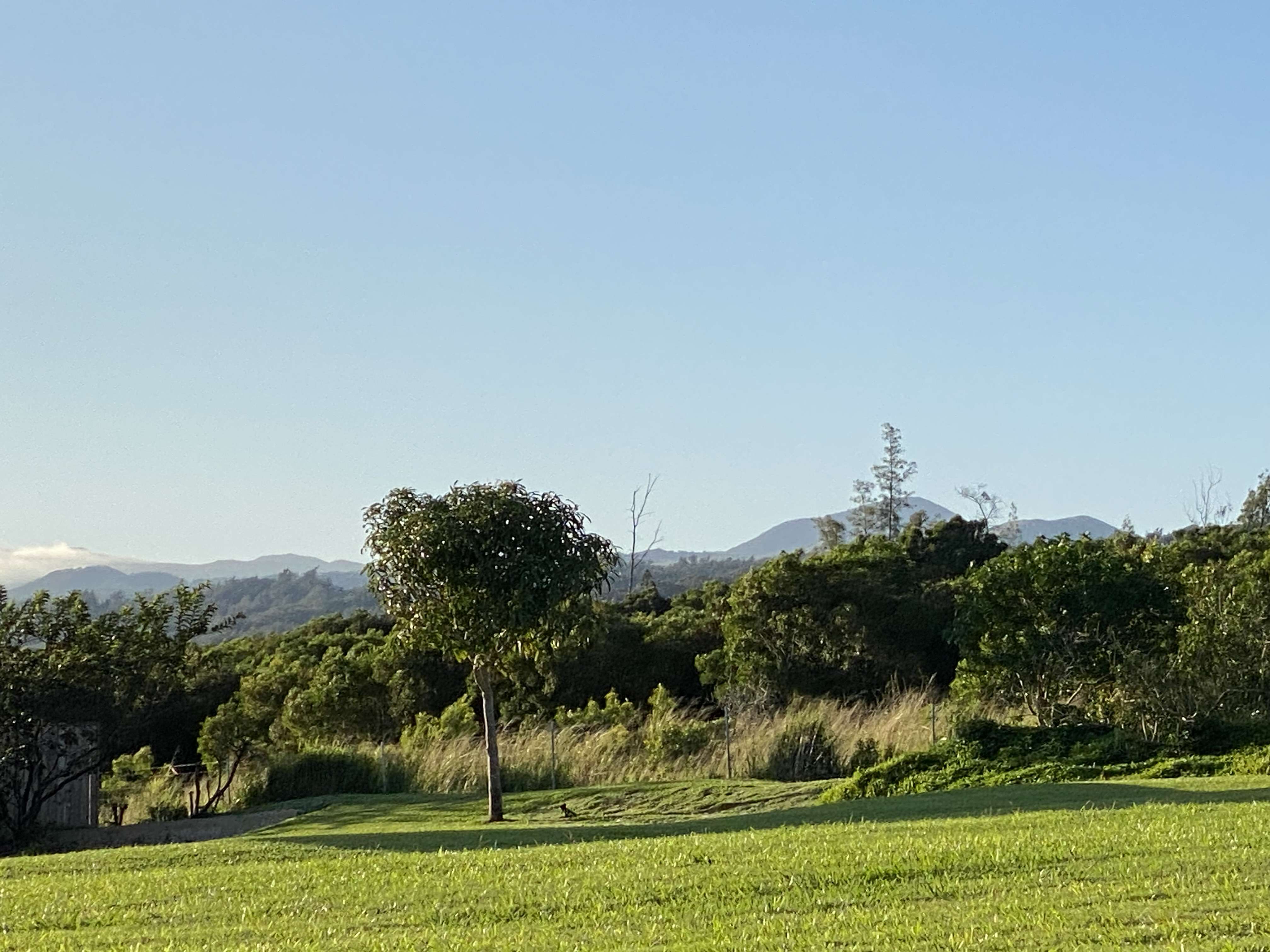 54-3708 LEHUULA CIRCLE, Kapaau, HI 96755