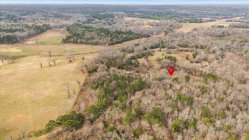 2605 VZ County Road 4923, Ben Wheeler, TX 75754