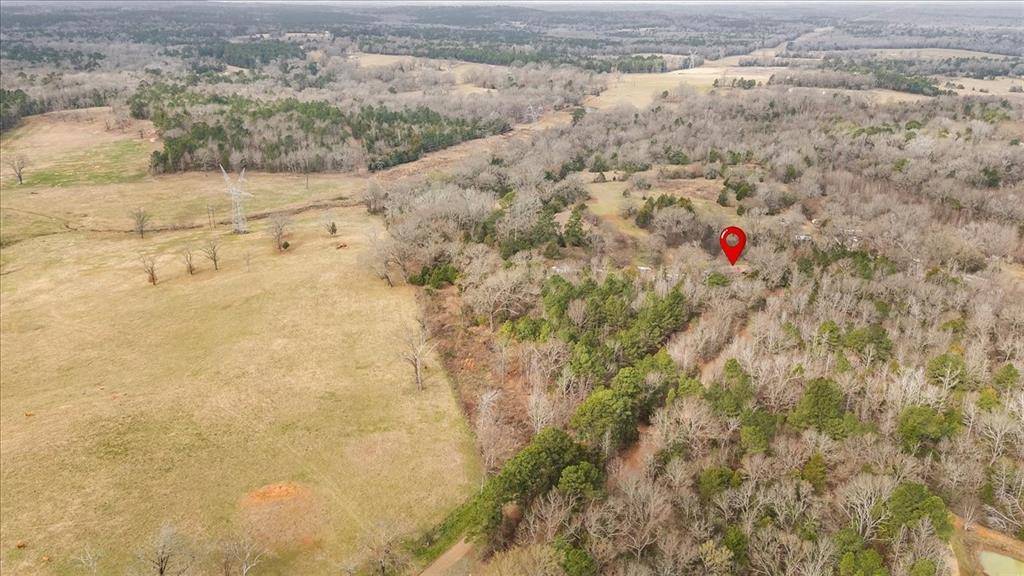 2605 VZ County Road 4923, Ben Wheeler, TX 75754