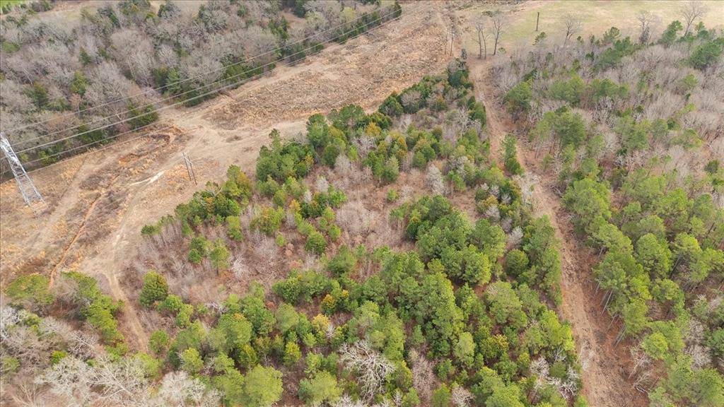 2605 VZ County Road 4923, Ben Wheeler, TX 75754