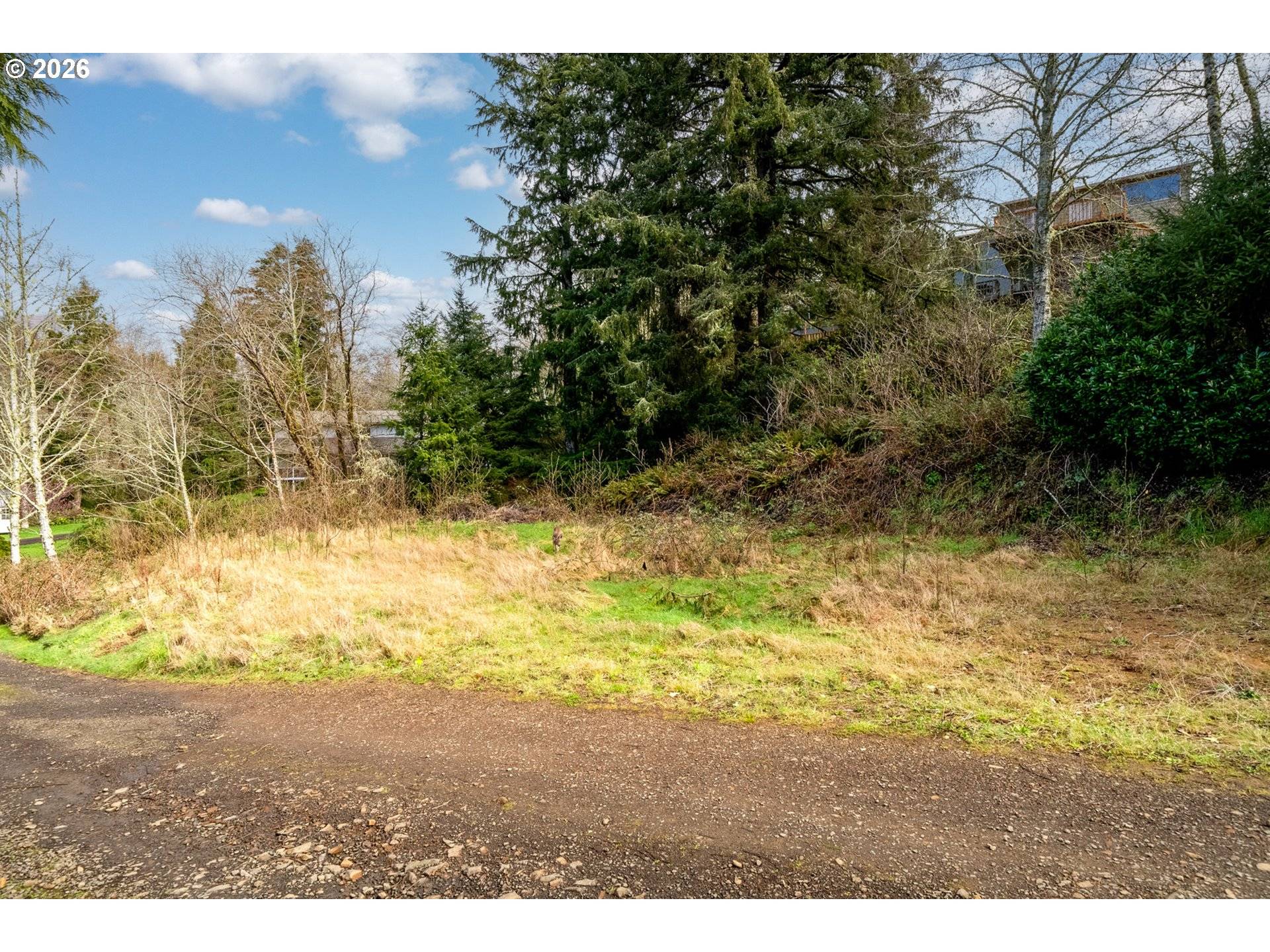 Buena Vista AVE #2900, Netarts, OR 97143