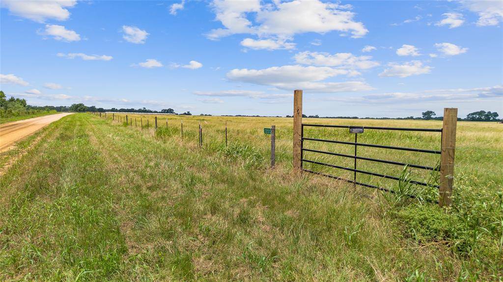 TBD (Tract 8) County Road 318, Caldwell, TX 77836