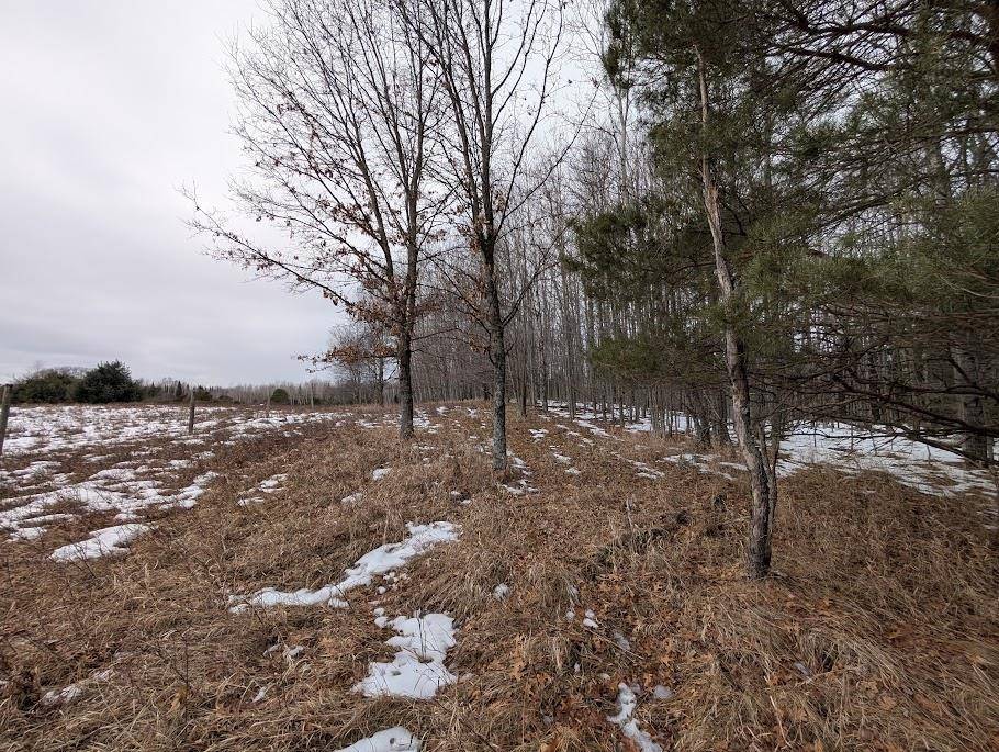 2370 S Coville RD, Greenbush Twp, MI 48745